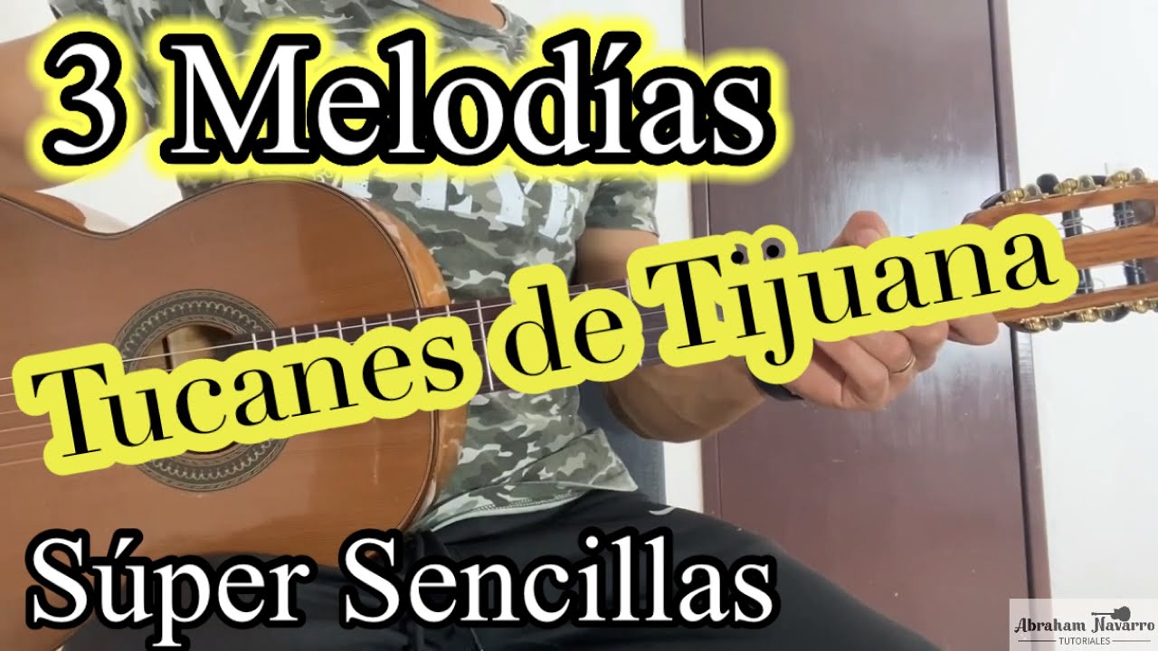 Aprende 3 melodías muy sencillas de los tucanes de Tijuana