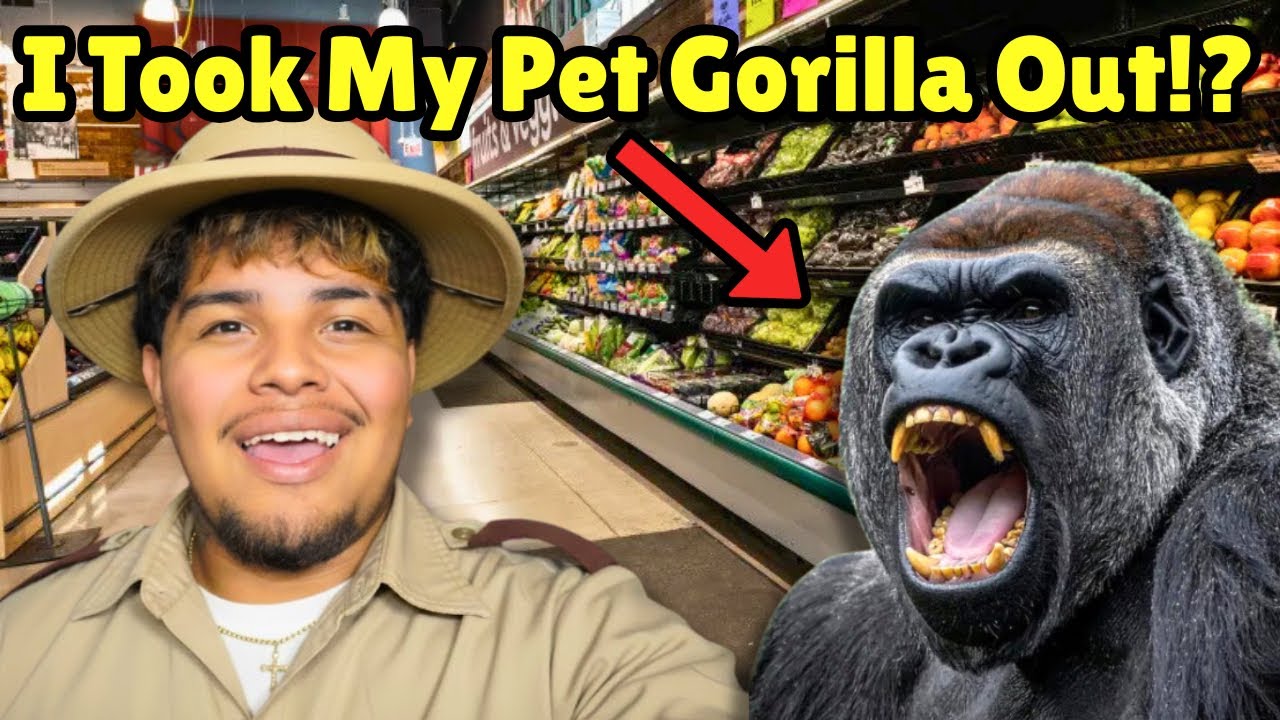 Spending The Day with My Pet GORILLA!