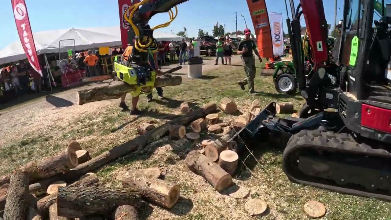 Jan from New England Pine vs. Timberkutterpatriot chainsaw race.