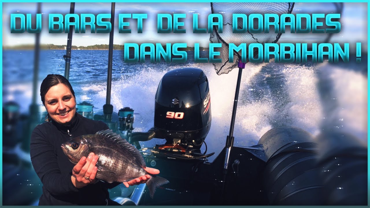Séjour dans le Morbihan : Pêche du bar et de la dorade