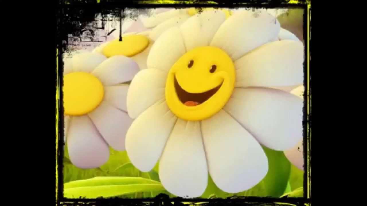 Ser feliz, Quiero ser feliz - Canciones Infantiles!