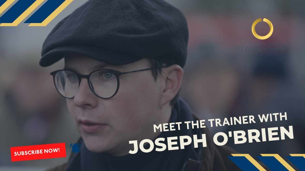 Joseph O'Brien, Trainer