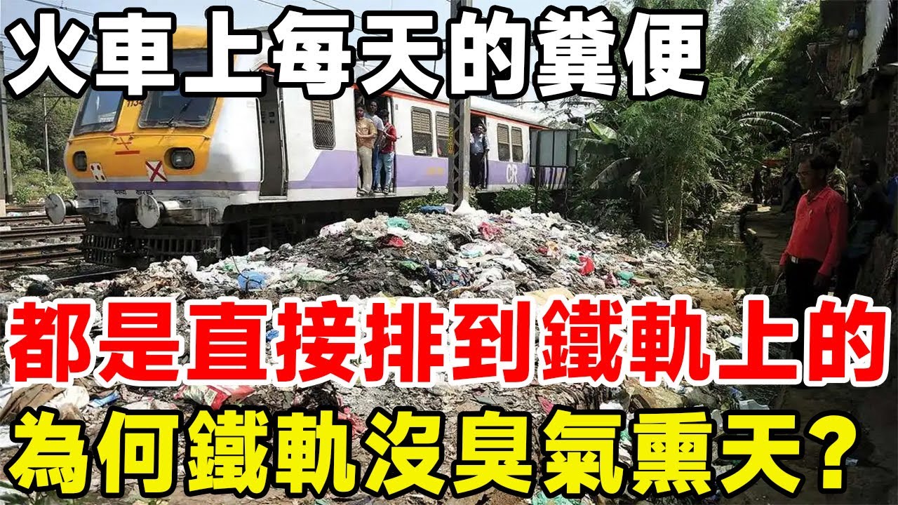 火車上每天的糞便，都是直接排到鐵軌上的，為何鐵軌沒有臭氣熏天？#科普 #科普頻道