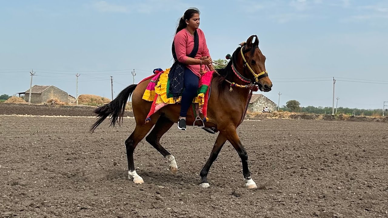 દિકરીયુ પણ ઘોડીયુ સલાવે સાનિયા મેબુબ લોધીકા રાજકોટ
