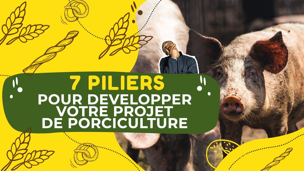 7 PILIERS SOLIDES POUR TA REUSSITE EN PORCICULTURE!