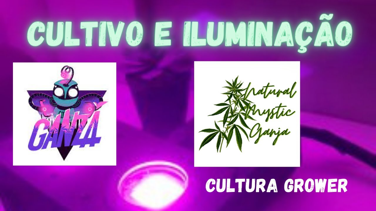 INTRODU&Ccedil;&Atilde;O AO CULTIVO E ILUMINA&Ccedil;&Atilde;O