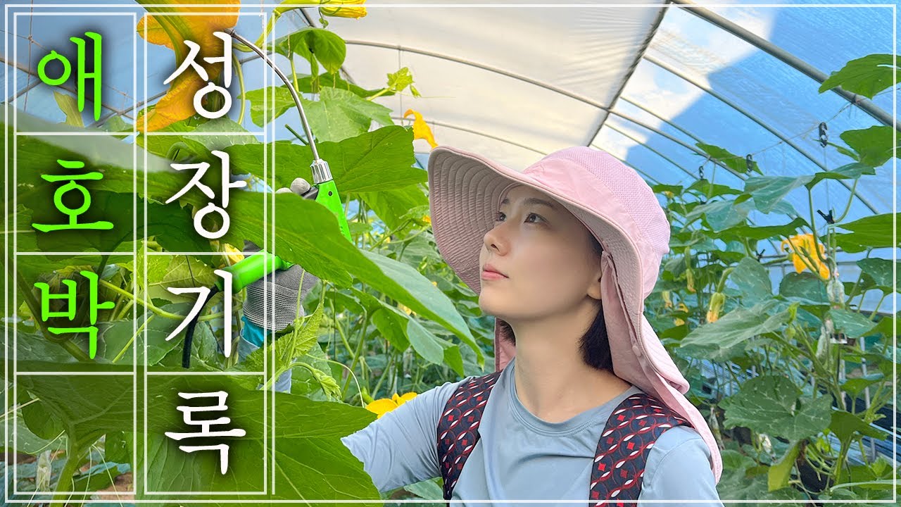 꽃이 피고 열매가 열리기까지의 과정