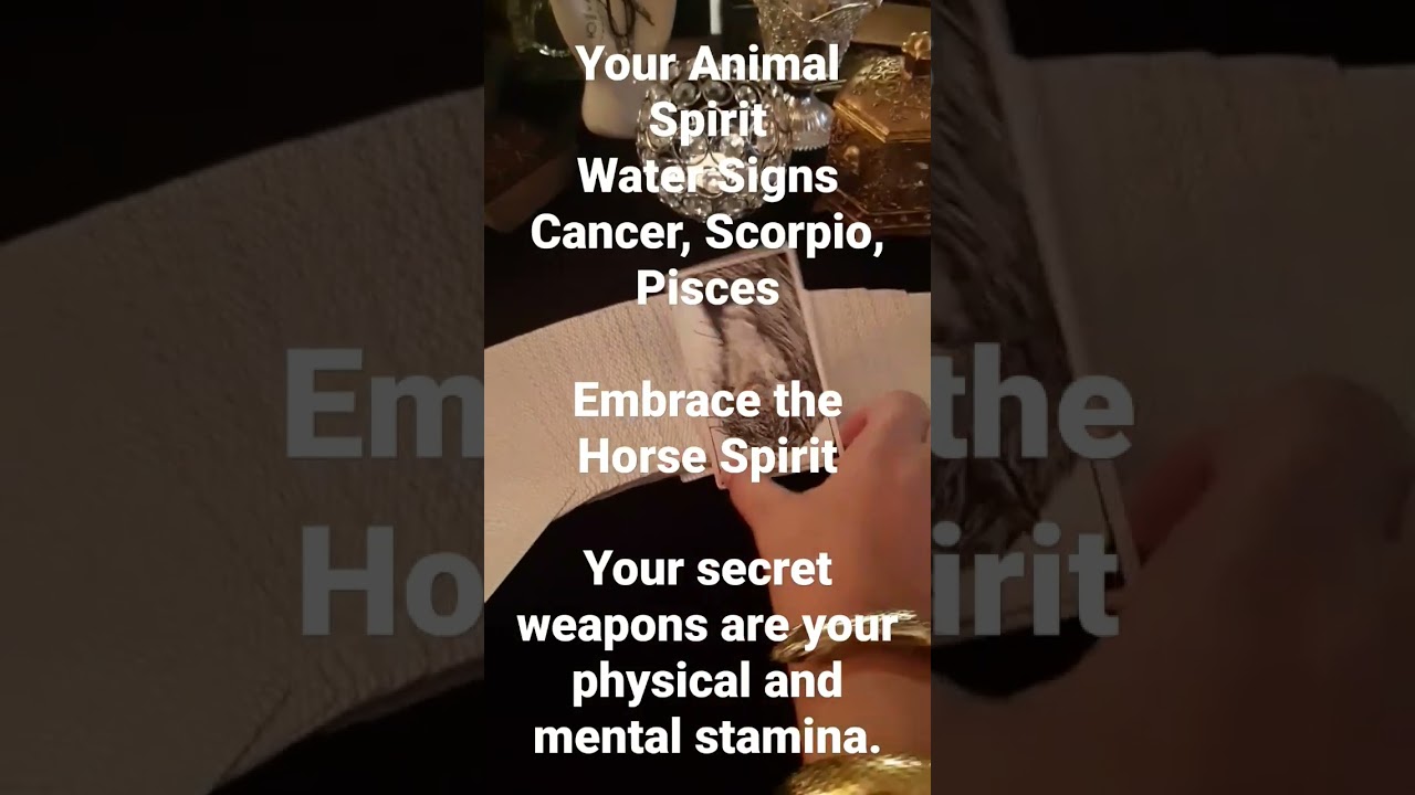 Water Signs Animal Spirit: Horse #watersigns #cancer #scorpio #pisces #tarot #thehealingsoultarot