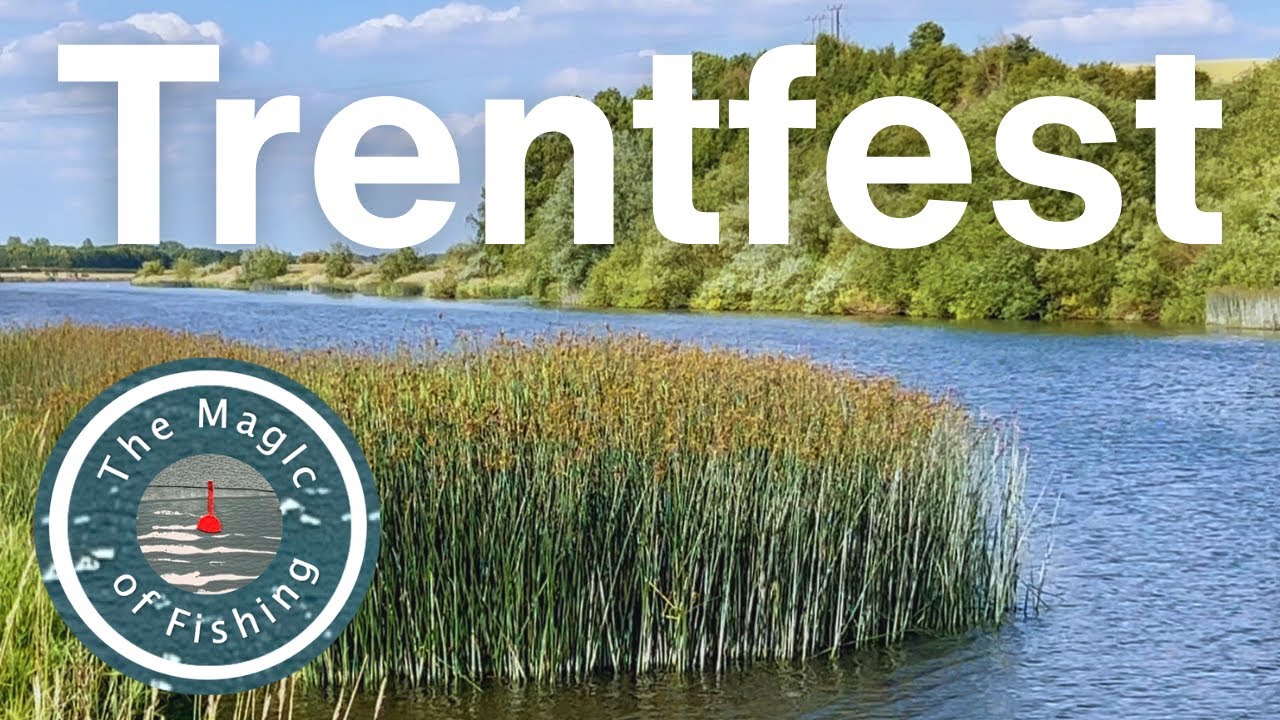We had a PRIVATE stretch of the River Trent to fish every day! 🤯🎣