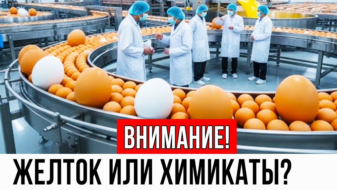 Внимание! При покупке ЯИЦ, эти 5 супермаркетов лучше избегать.