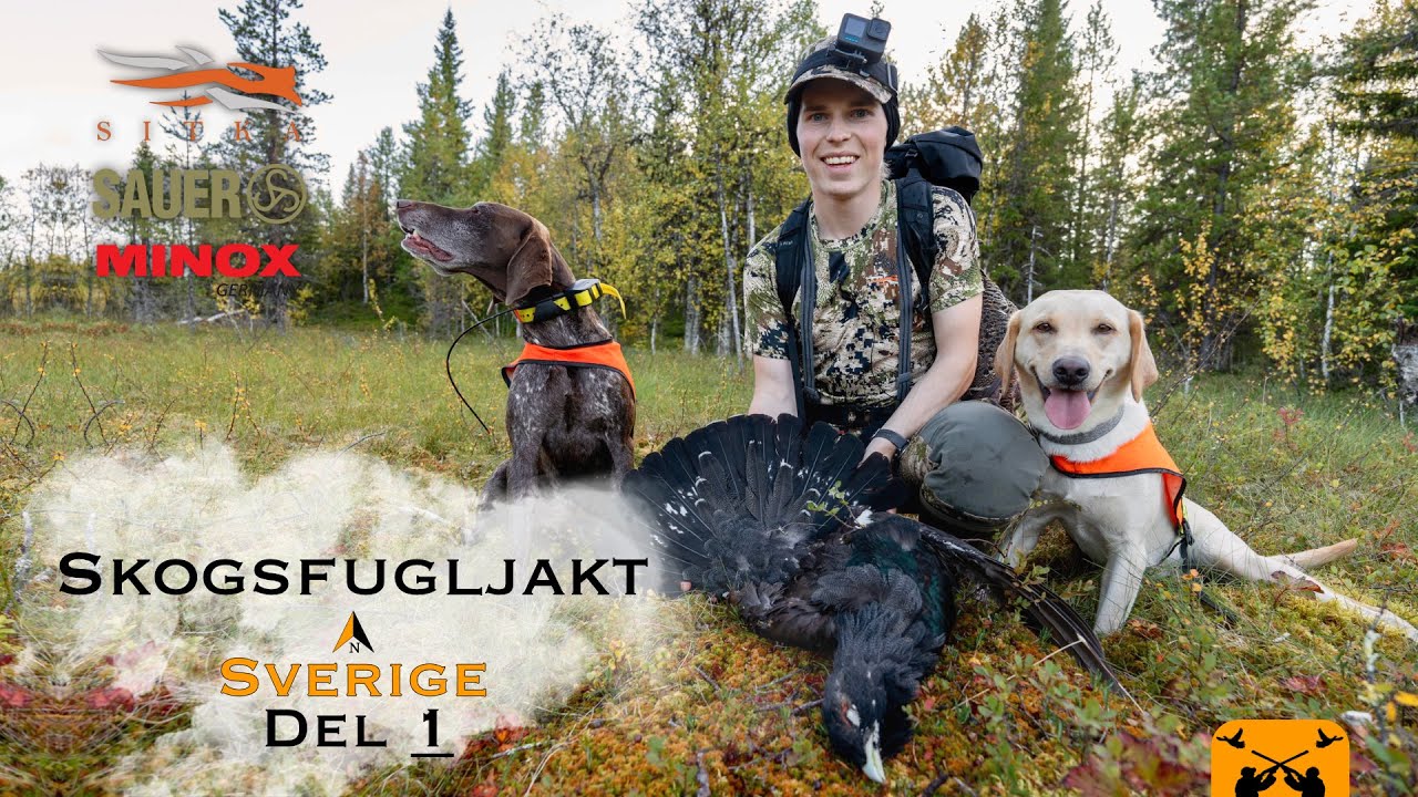 Skogsfugljakt i Sverige Del 1 l Jegerkaran by Elias Gangstø