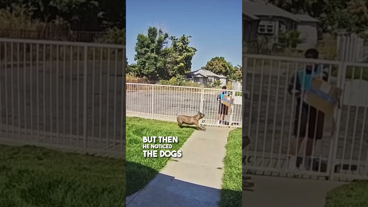 This delivery driver didn't read the instructions 😂
