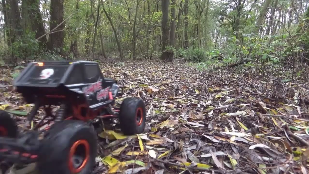 an afternoon forest trail walk in autumn (2025)