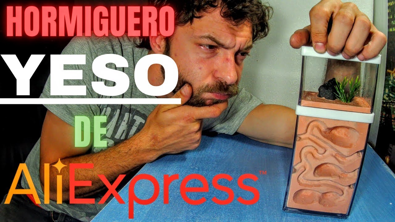 Compro un NUEVO 💞🐜  Hormiguero de YESO en  Aliexpress 🇨🇳 , Unboxing, Reseña errores y mejoras.