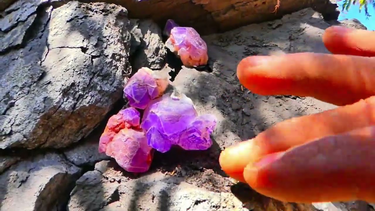 How did the gold prospectors navigate this mountain river?