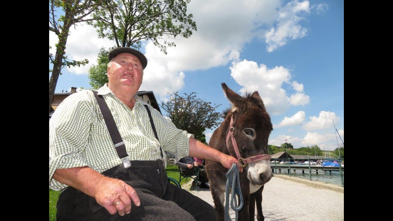 Wie Hermann Koch zu seinem Esel Oskar kam 21. Mai 2020