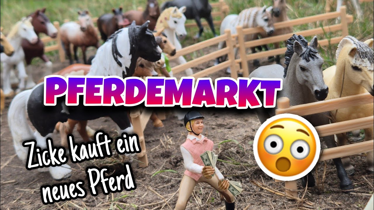 Zicke Ruby geht auf einen PFERDEMARKT🚩🐴💸 || Neues Pferd? Neue Pferde?? PFERDEKAUF!🫣✨️💸Schleich Video