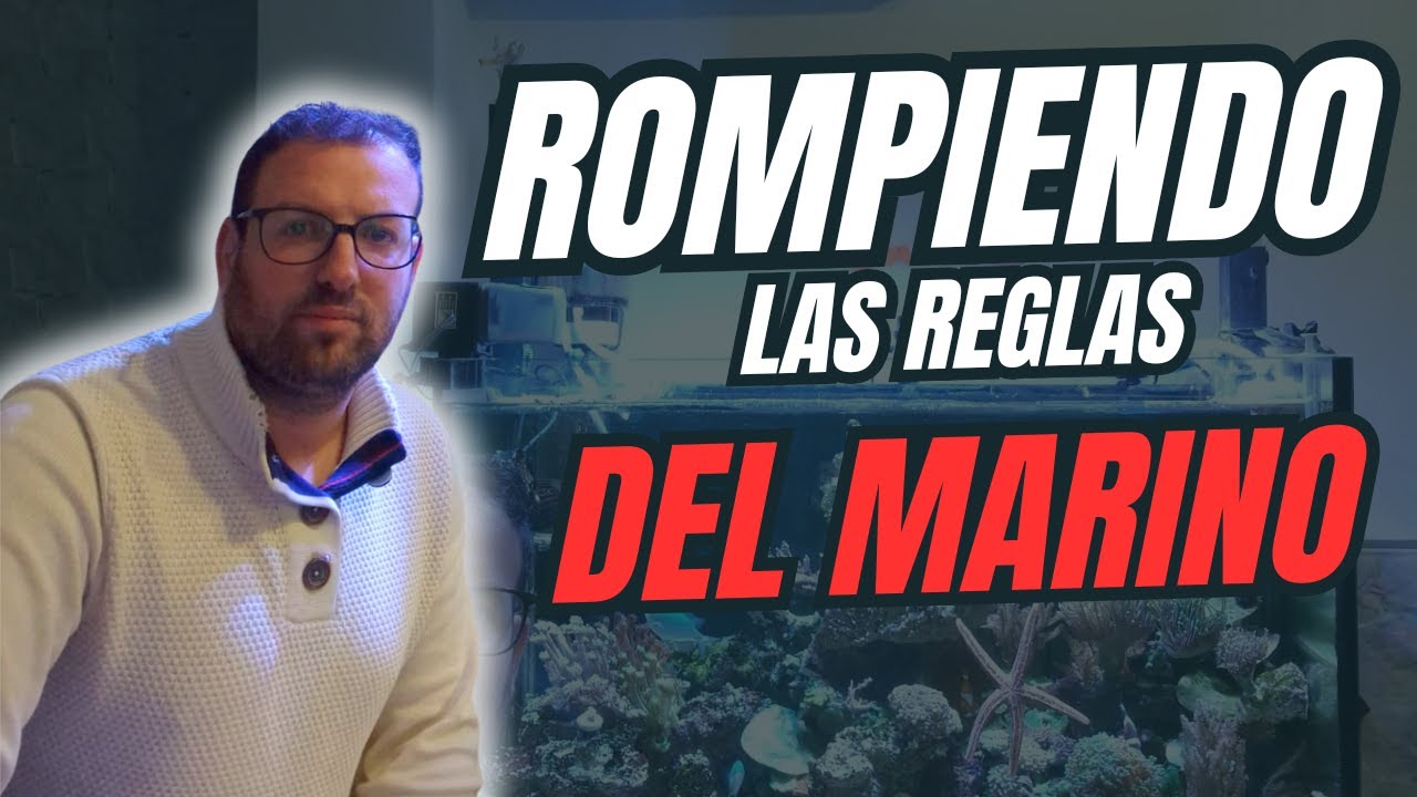 🪸 ¡Sin SUMP y con éxito! - TANQUE TOUR  acuario marino de Jonatan 🪸