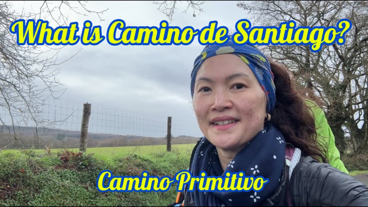 Camino Primitivo | Lugo to San Roman da Retorta | Why do the Camino? 🇪🇸