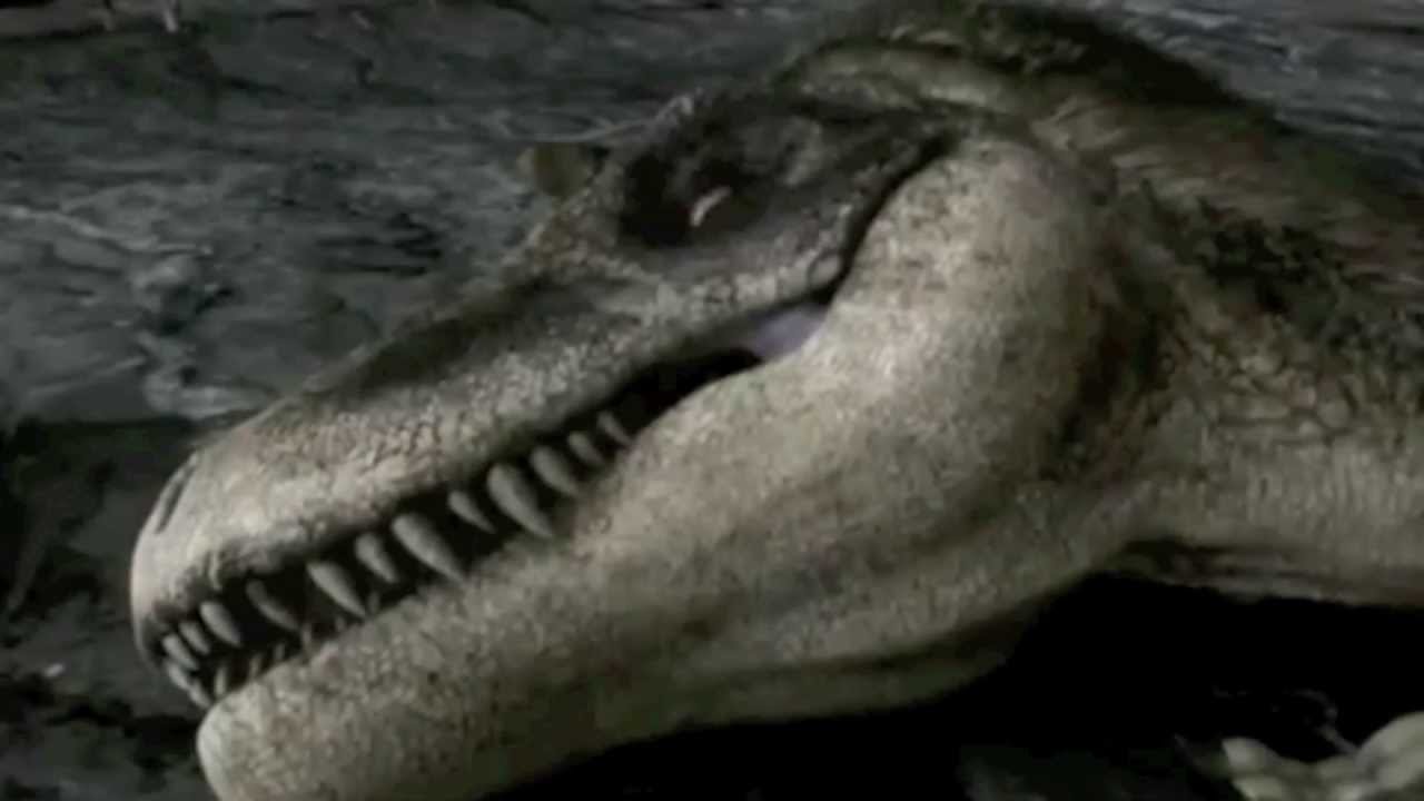 Albertosaurus Tribute 