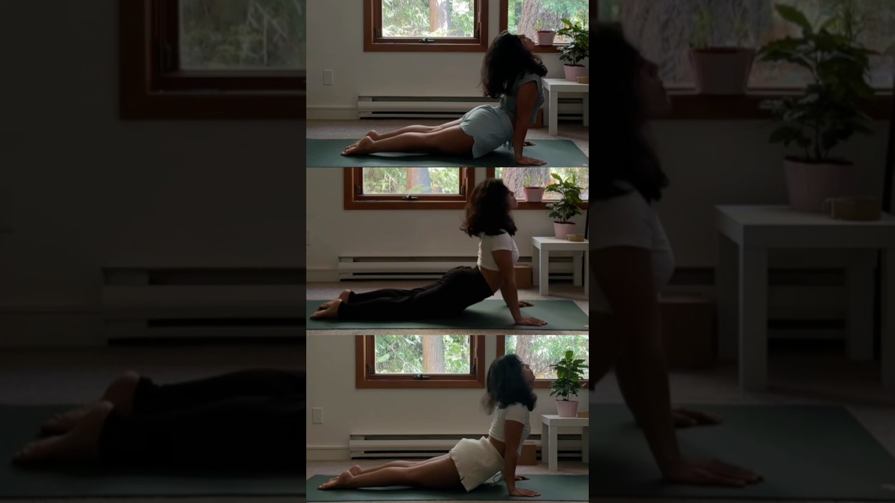 different days, same-ish flows 🧚🏽‍♀️ #vinyasaflowyoga #yogadailypractice #selfcare