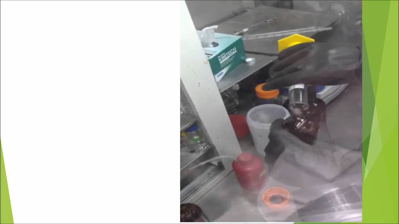 RET- Project 3: Renewable Energy from Food Waste- 2015