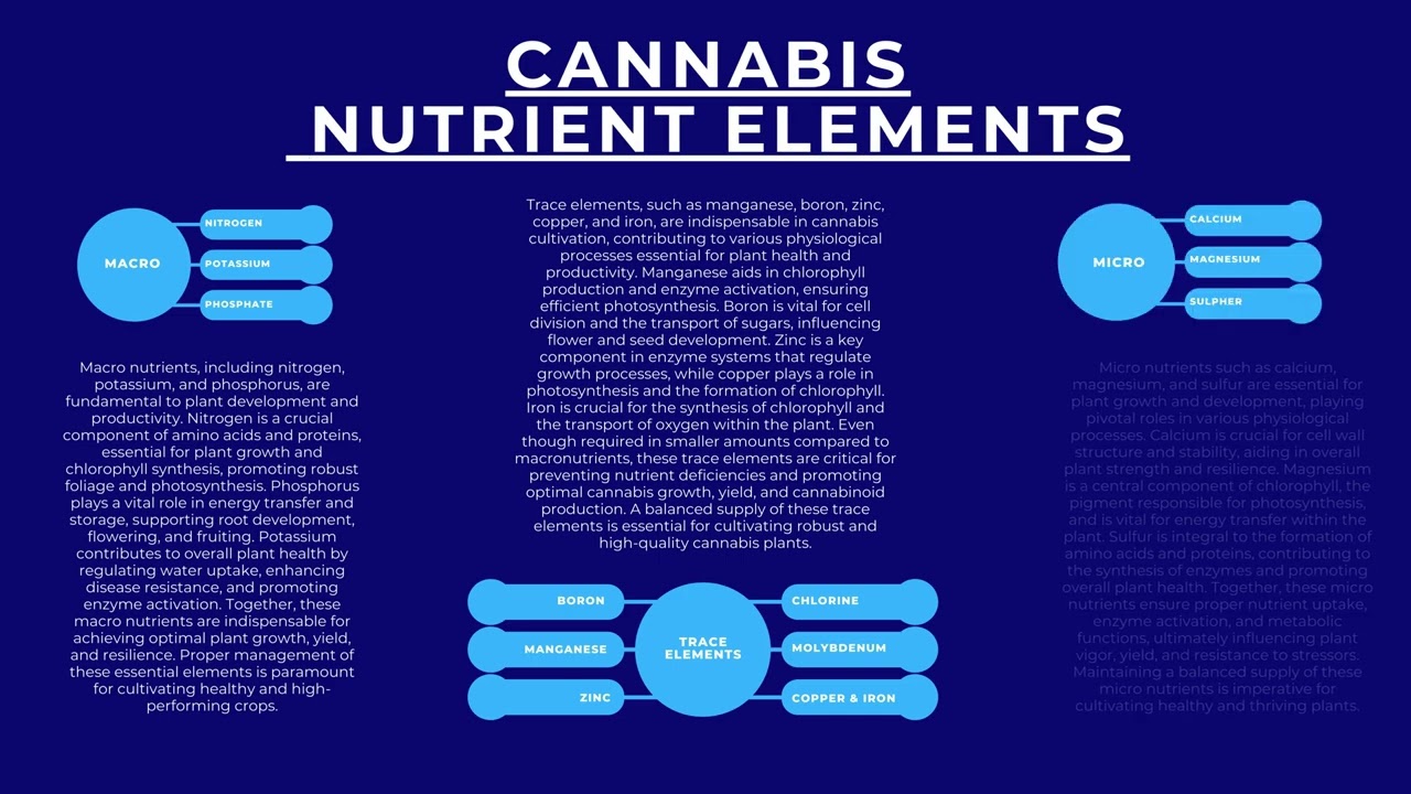 Essential Nutrients for Thriving Cannabis Plants: Trace Elements, Macro & Micro Nutrients Explained