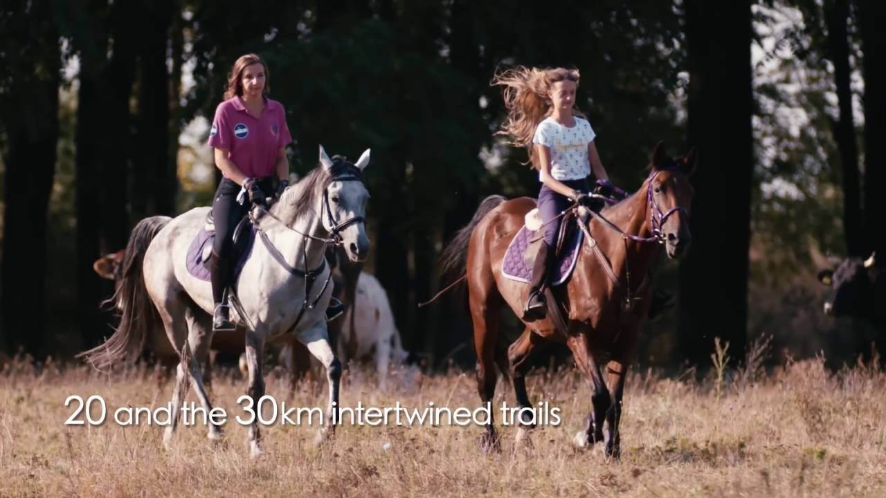 Shagya Cup, Endurance Horse Race Competition