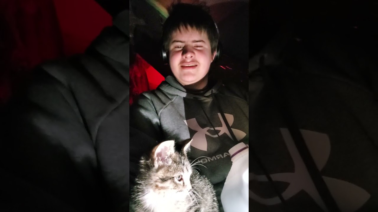 Ozzy @breckinplayz @catsformeow6573 