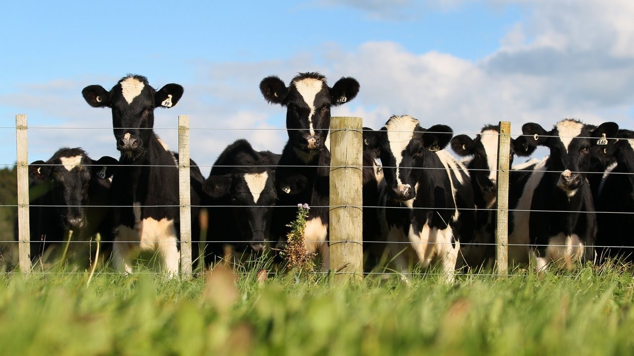 Lawmakers unveil 2018 farm bill compromise