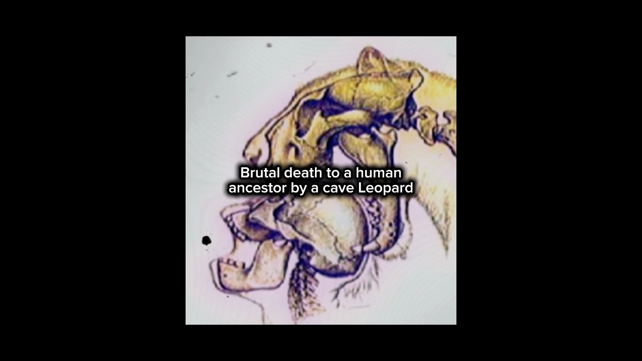 Life in the ice age was brutal for prehistoric humans&hellip; #prehistoric #iceage #earlyhumans