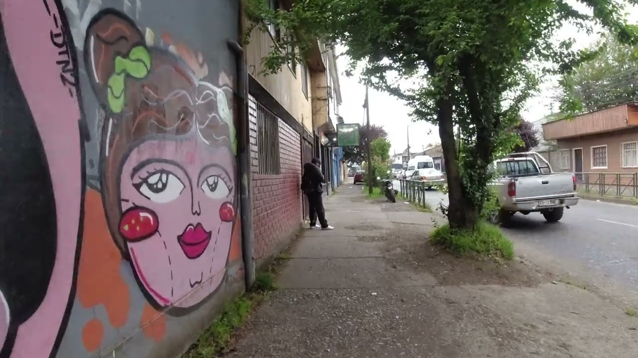 LAUTARO STREET , TEMUCO - CHILE | Walking | Randomatereal. Random Footage of our life.