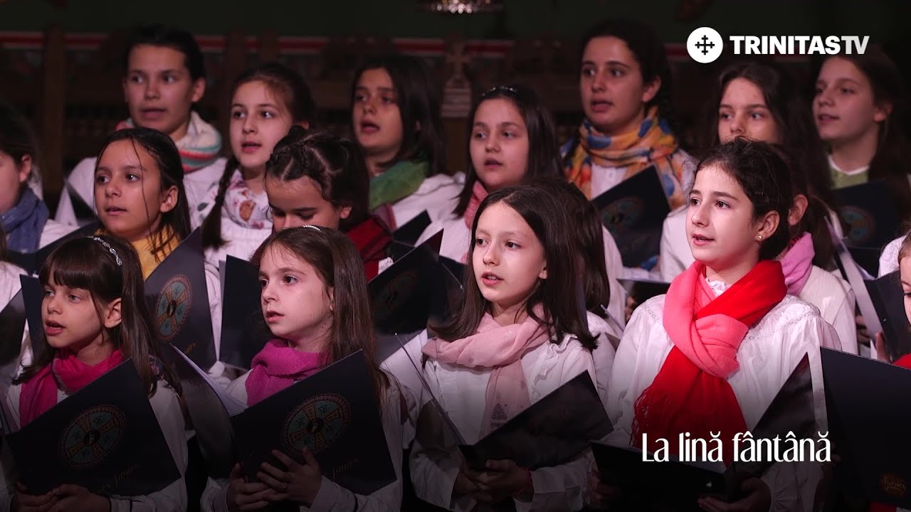 Tronos Junior - La lină fântână