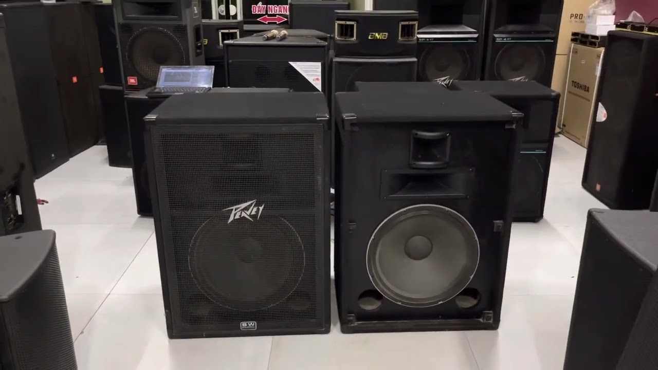 Loa pevey 118 bass 50 từ 22 c&ocirc;n 100 made in usa