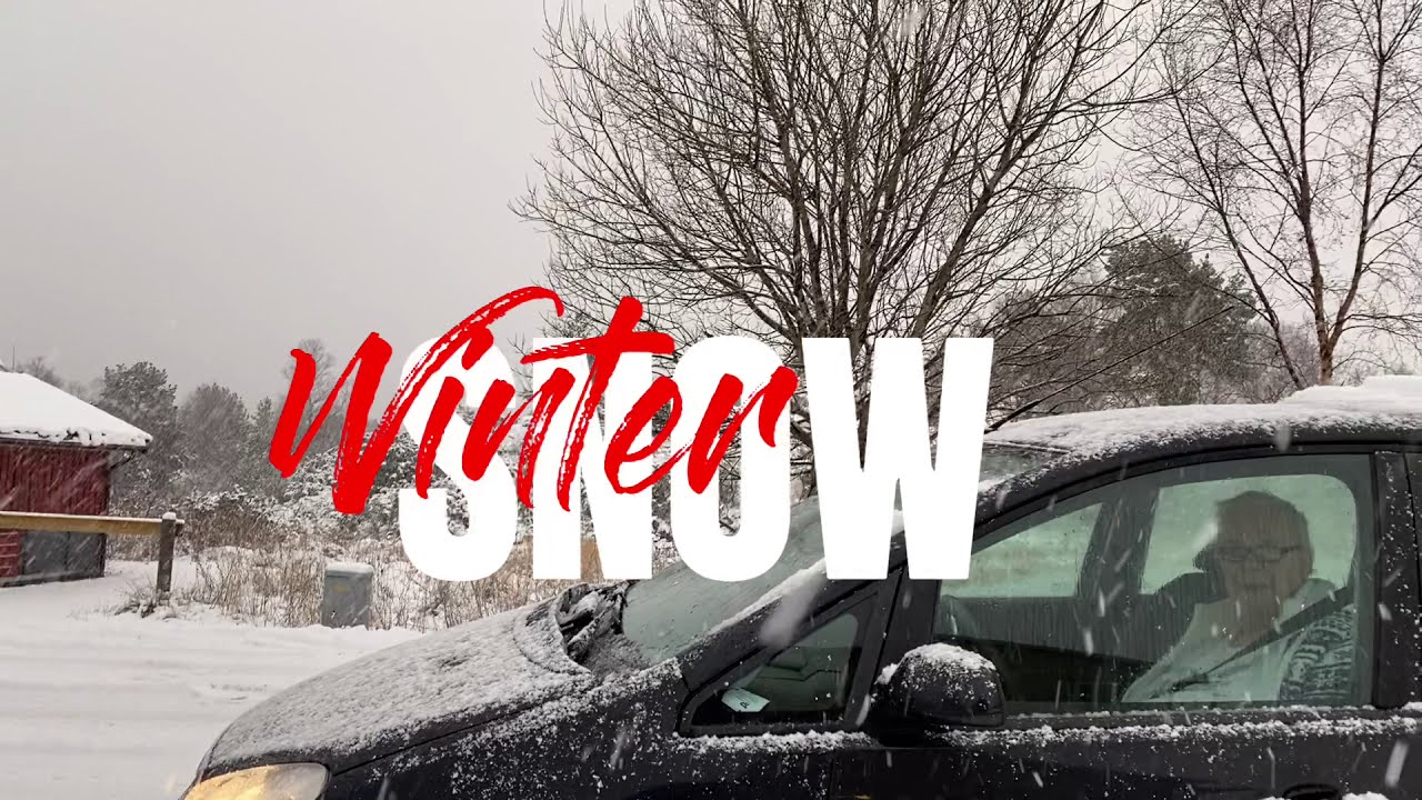 SNOWFALL- WINTER SNOW - SNOWFLAKES