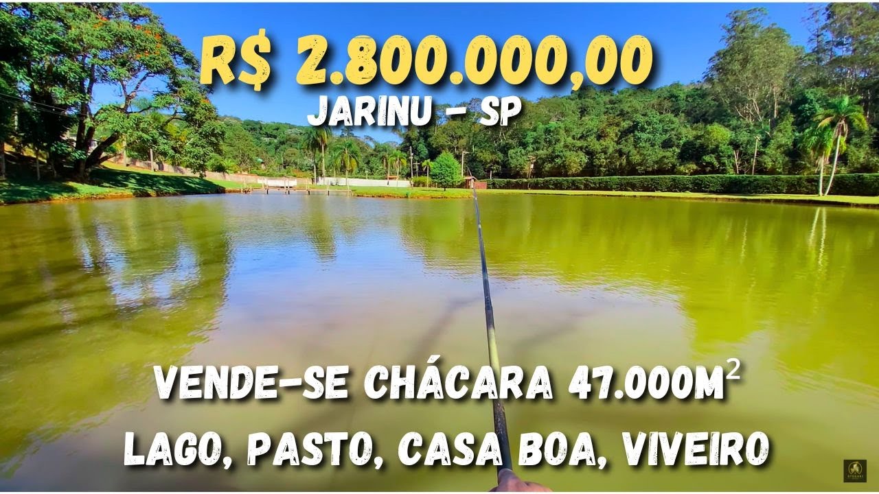 Chácara com 47mil m², pasto, lago cheio de peixes, ótimo acesso a venda em Jarinu SP.