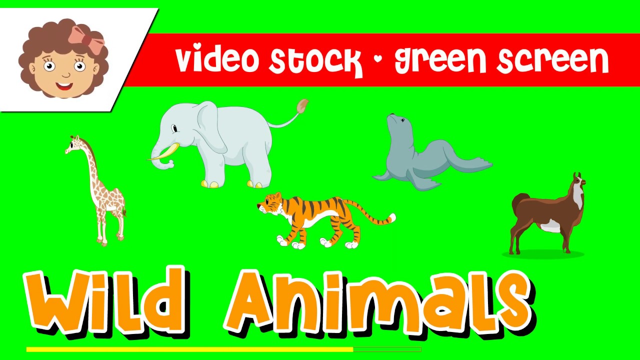 Cartoon - Wild Animals- Green Chroma Screen - Free to Use - No Copyright