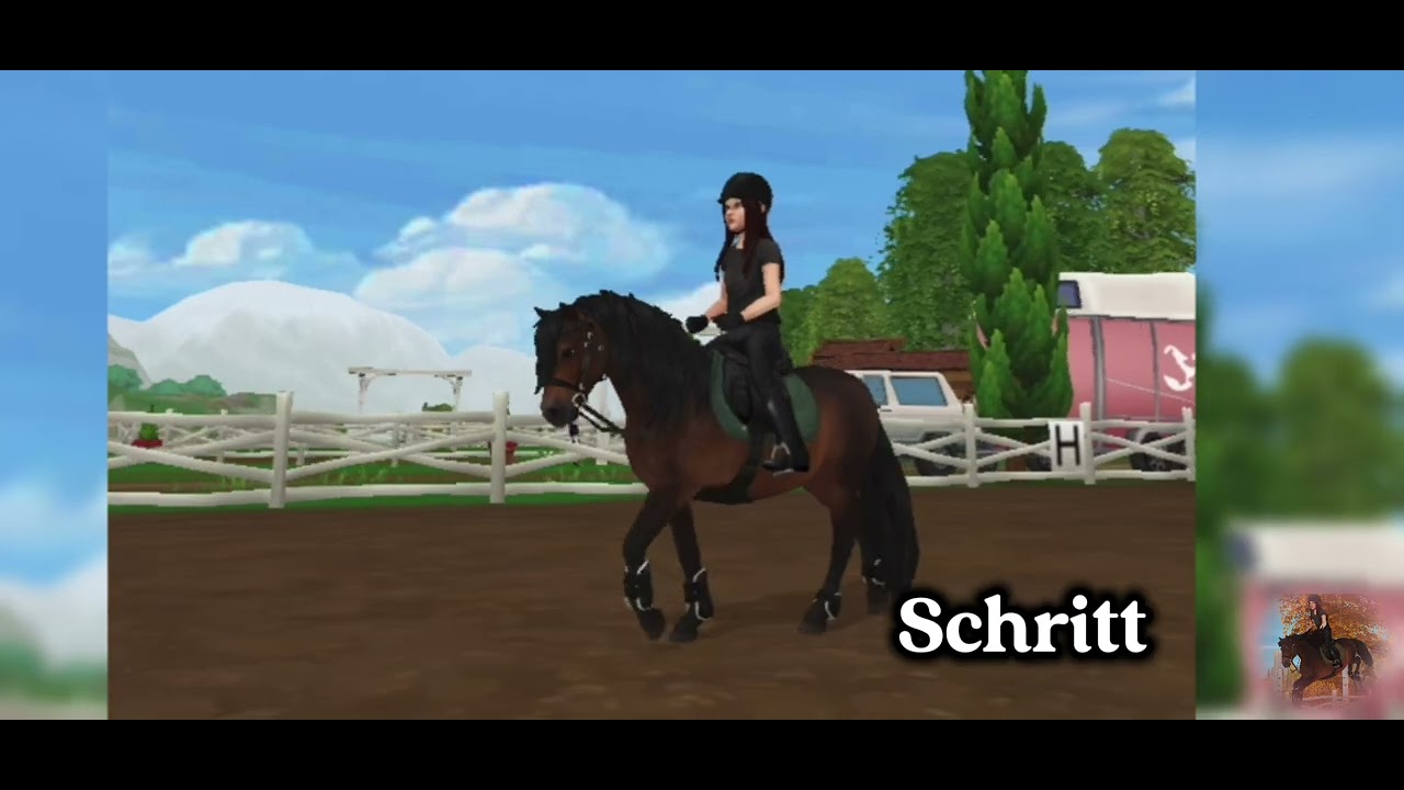 Mein erstes Pferd in diesem Jahr 🤩😍🫢