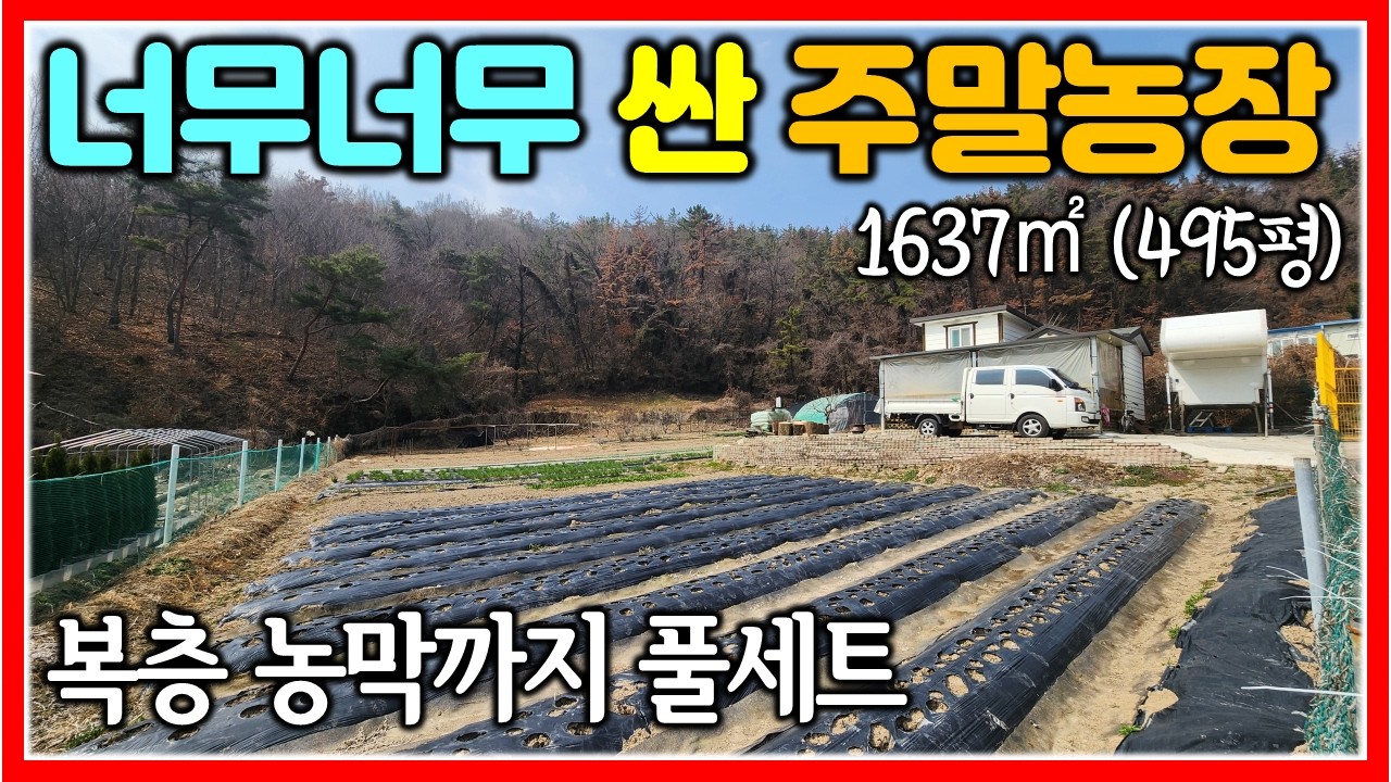 미친 금액으로 접수된 주말농장 급매매 1637㎡ (495평) #주말농장 #땅삼촌 #텃밭
