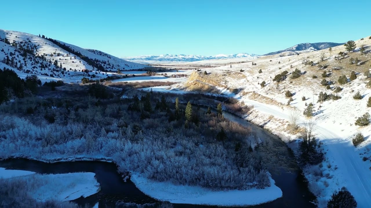 Frozen Foliage on the Ruby River