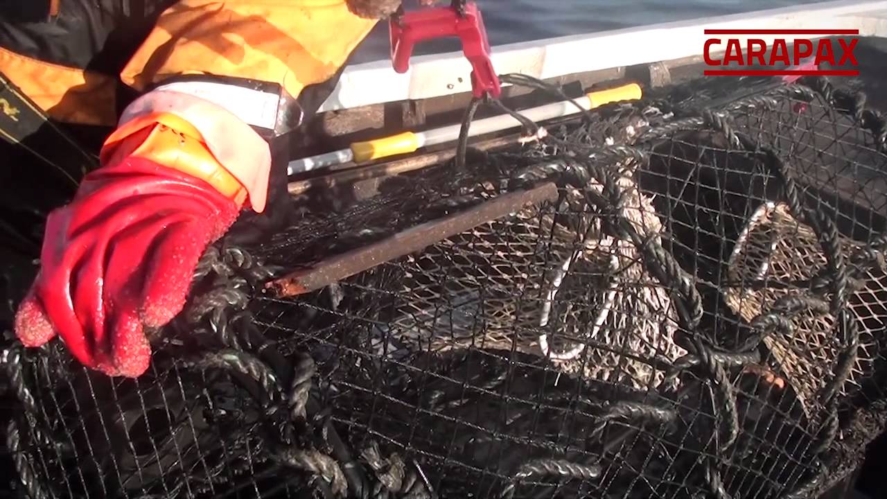 Hummerfiske i Bohuslän, säsongen 2011