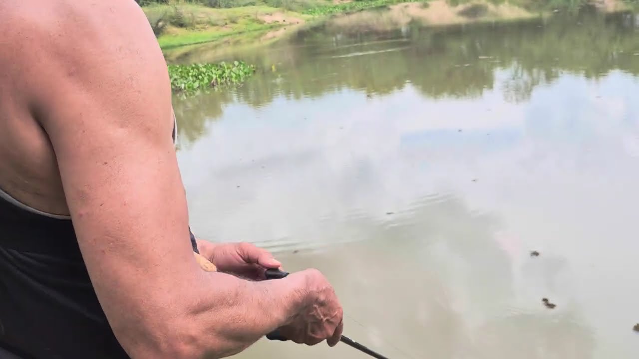 🎣 BAGRÃO FISHING – Episódio 2 DESBRAVANDO A LAGOA DOS ANJOS a busca de novo ponto de camping #pesca
