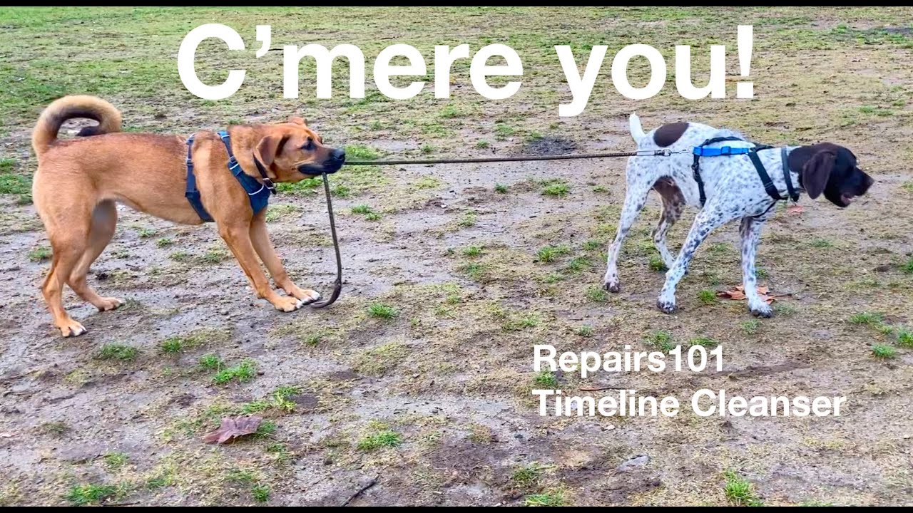 C'mere you !  **  13 second Timeline Cleanser