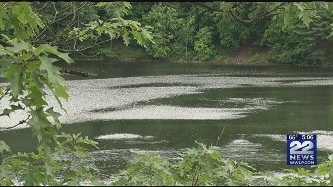 Indian Leap section of the Chicopee River known as a dangerous spot for swimming