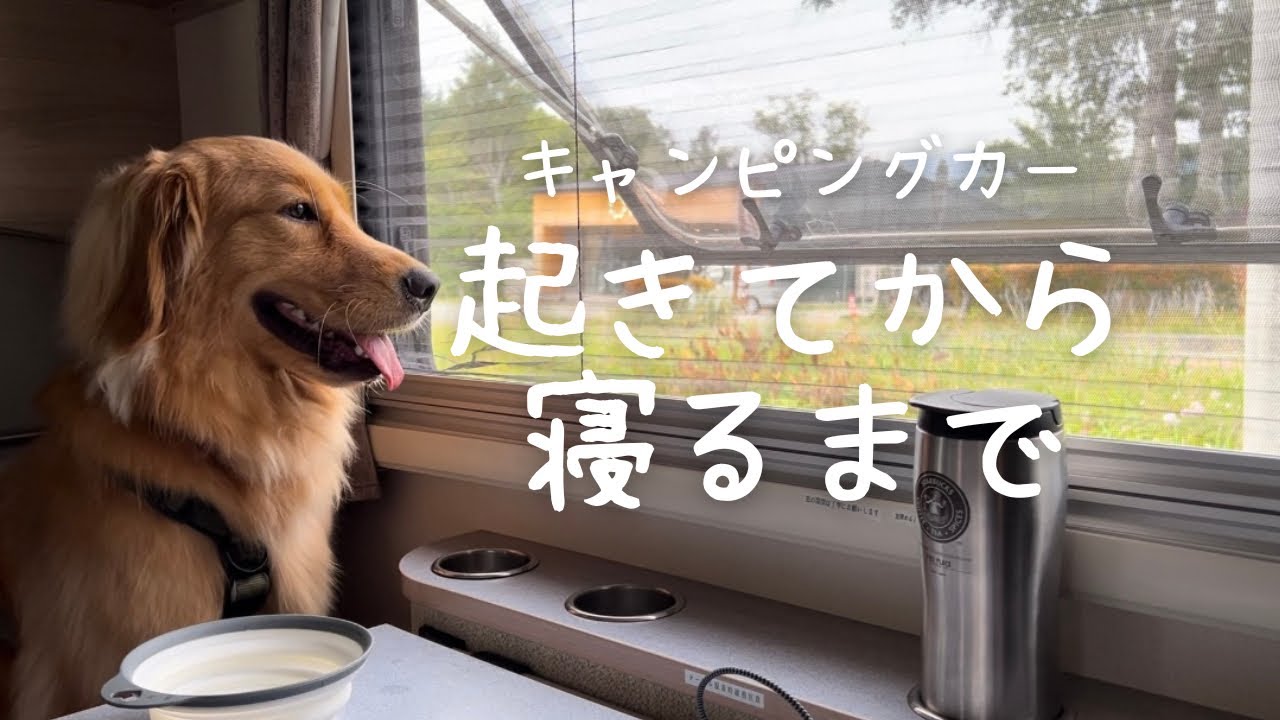 【Vlog】大型犬とキャンピングカーで過ごす１日はこんなにも映えない【ゴールデンレトリバー】【大型犬と暮らす】