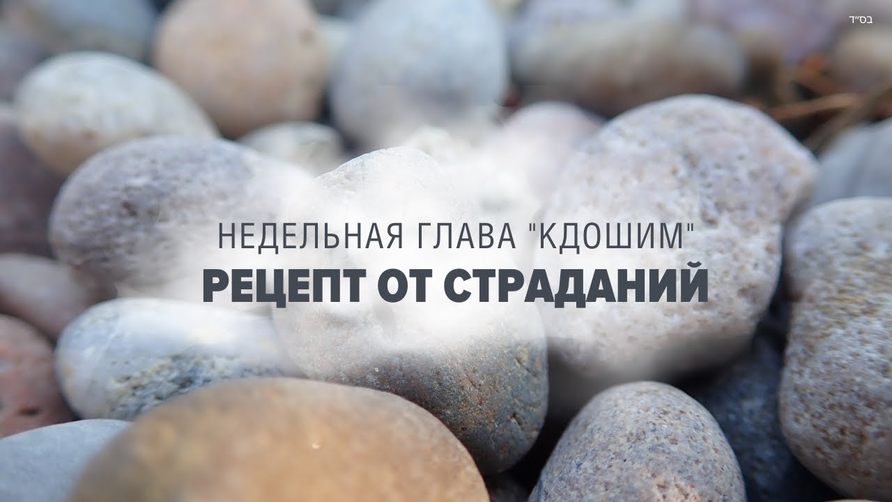 💊 РЕЦЕПТ ОТ СТРАДАНИЙ (Рав Исраэль Якобов) Недельная глава 