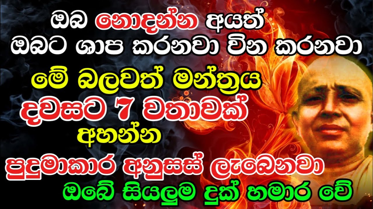 මේක දැක්කෙත් පෙර පිනකටයි! කොණ්ඩදෙණිය මන්ත්‍රවල බලය! #life #viral #trending Attract #Money #status