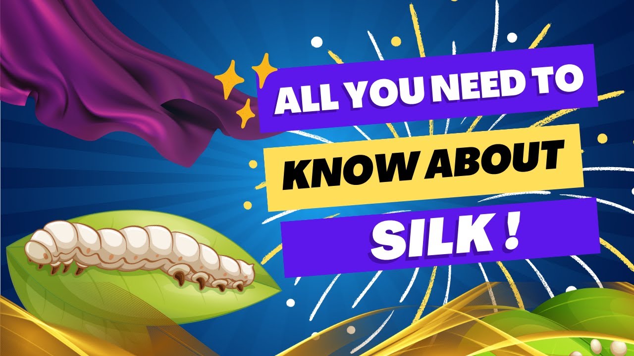 where does silk come from?
