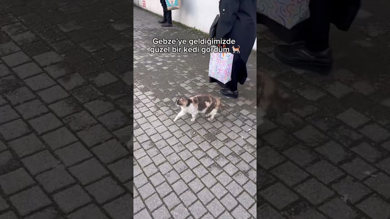 1 Mart 2026