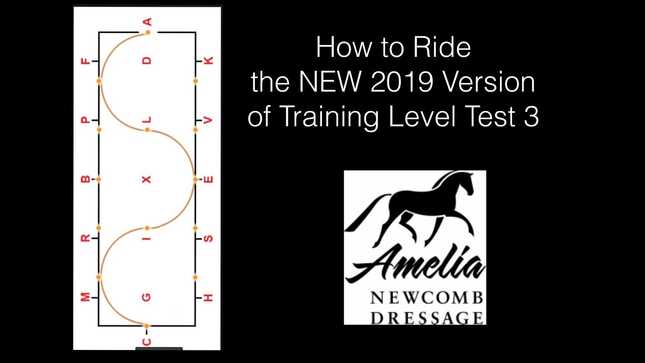 THE OLD Training Level Test 3 -  2019 Version from the United States Dressage Federation